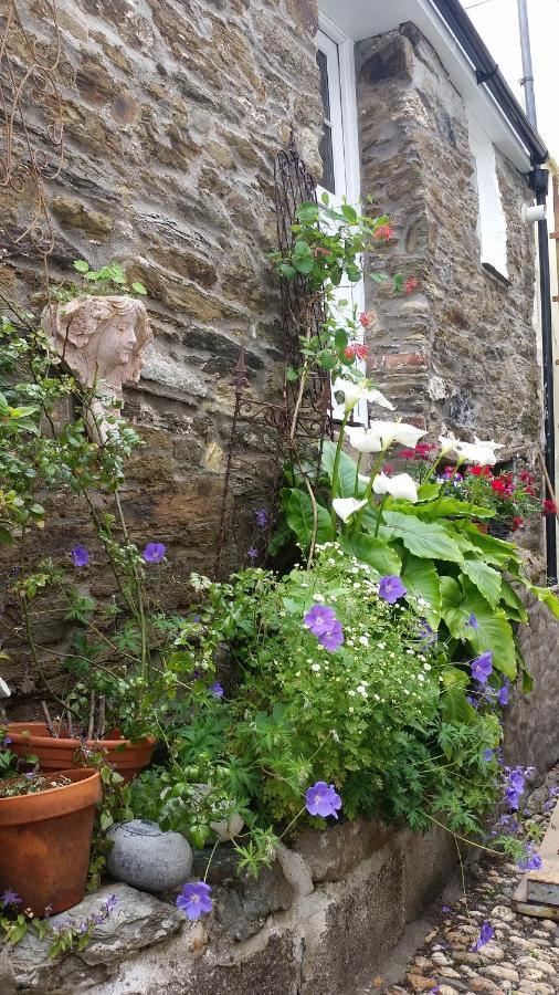 Reed'S Of Fowey Apartment Exterior foto